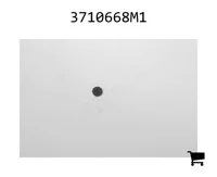 AGCO 3710668M1 Шайба