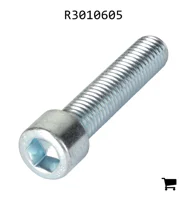 AGCO R3010605 Винт