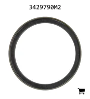 AGCO 3429790M2 Уплотнение бортовой передачи