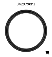 AGCO 3429790M2 Уплотнение бортовой передачи