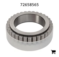 AGCO 72658565 Цилиндрический роликовый подшипник