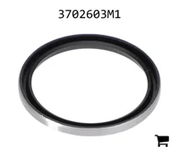 AGCO 3702603M1 Масляный сальник