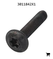 AGCO 3011842X1 Винт с полукруглой головкой