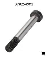 AGCO 3702549M1 Болт