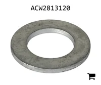 AGCO ACW2813120 Плоская шайба