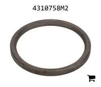 AGCO 4310758M2 Шайба