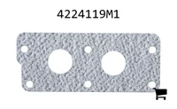 AGCO 4224119M1 Прокладка
