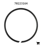 AGCO 70223164 Кольцо
