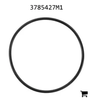 AGCO 3785427M1 Уплотнительное кольцо