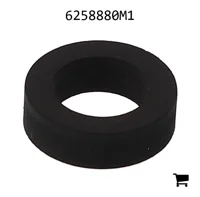 AGCO 6258880M1 Шайба