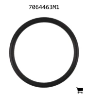 AGCO 7064463M1 Уплотнительное кольцо