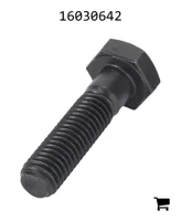 AGCO 16030642 Винт