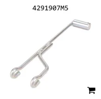 AGCO 4291907M5 Шток