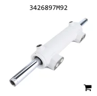 AGCO 3426897M92 Рулевой цилиндр