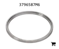 AGCO 3796587M6 Шайба