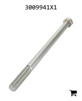 AGCO 3009941X1 Болт