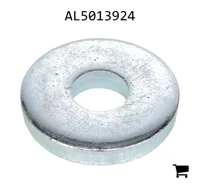 AGCO AL5013924 Шайба