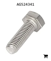 AGCO AG524341 Болт с шестигранной головкой