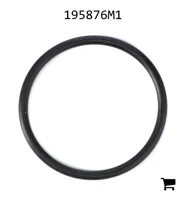 AGCO 195876M1 Уплотнительное кольцо трансмиссии