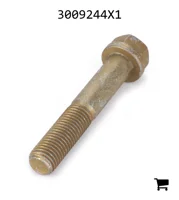 AGCO 3009244X1 Болт с шестигранной головкой и фланцем