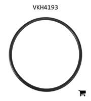 AGCO VKH4193 Уплотнительное кольцо