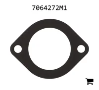 AGCO 7064272M1 Прокладка корпуса термостата