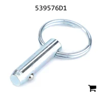 AGCO 539576D1 Палец