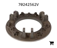 AGCO 70242562V Пластина