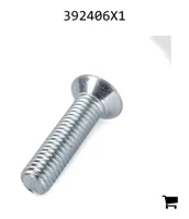 AGCO 392406X1 Винт с потайной головкой