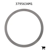 AGCO 3795634M1 Регулировочная шайба