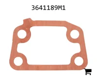 AGCO 3641189M1 Прокладка