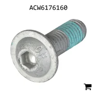 AGCO ACW6176160 Винт с головкой Torx