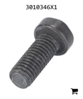 AGCO 3010346X1 Винт с потайной головкой