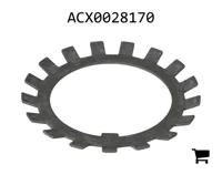 AGCO ACX0028170 Стопорная шайба