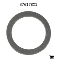 AGCO 376178X1 Шайба