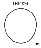 AGCO 3800447M1 Уплотнительное кольцо гидравлического насоса