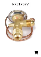 AGCO N731737V Клапан