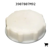 AGCO 3907807M92 Заглушка