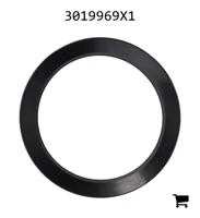 AGCO 3019969X1 Радиальное уплотнительное кольцо