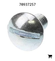 AGCO 70937257 Винт