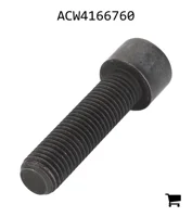 AGCO ACW4166760 Винт с цилиндрической головкой и шестигранным углублением