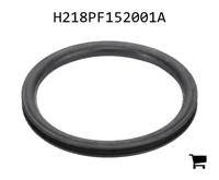 AGCO H218PF152001A Уплотнительное кольцо