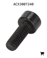 AGCO ACX3007240 Винт с головкой Torx