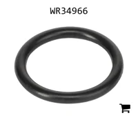 AGCO WR34966 Уплотнительное кольцо