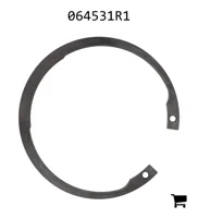 AGCO 064531R1 Кольцо