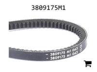 AGCO 3809175M1 Ремень клиновой