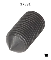 AGCO 17581 Винт