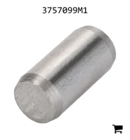 AGCO 3757099M1 Палец