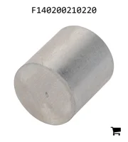 AGCO F140200210220 Заглушка