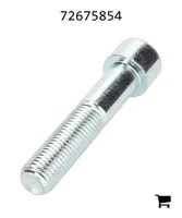 AGCO 72675854 Винт